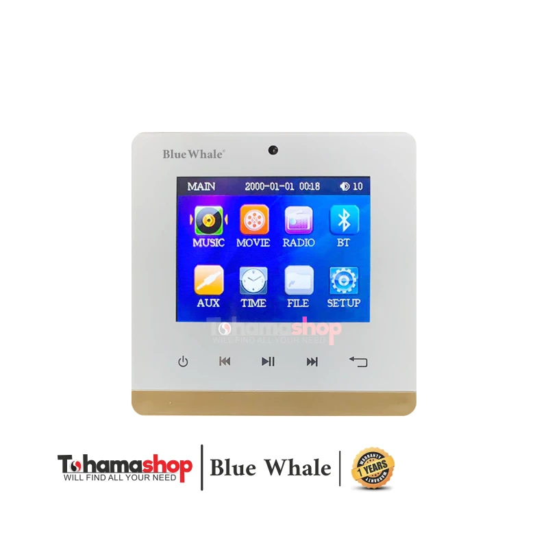 مكبر صوت حائطى قدرة 40 وات 2 منطقة بلوويل